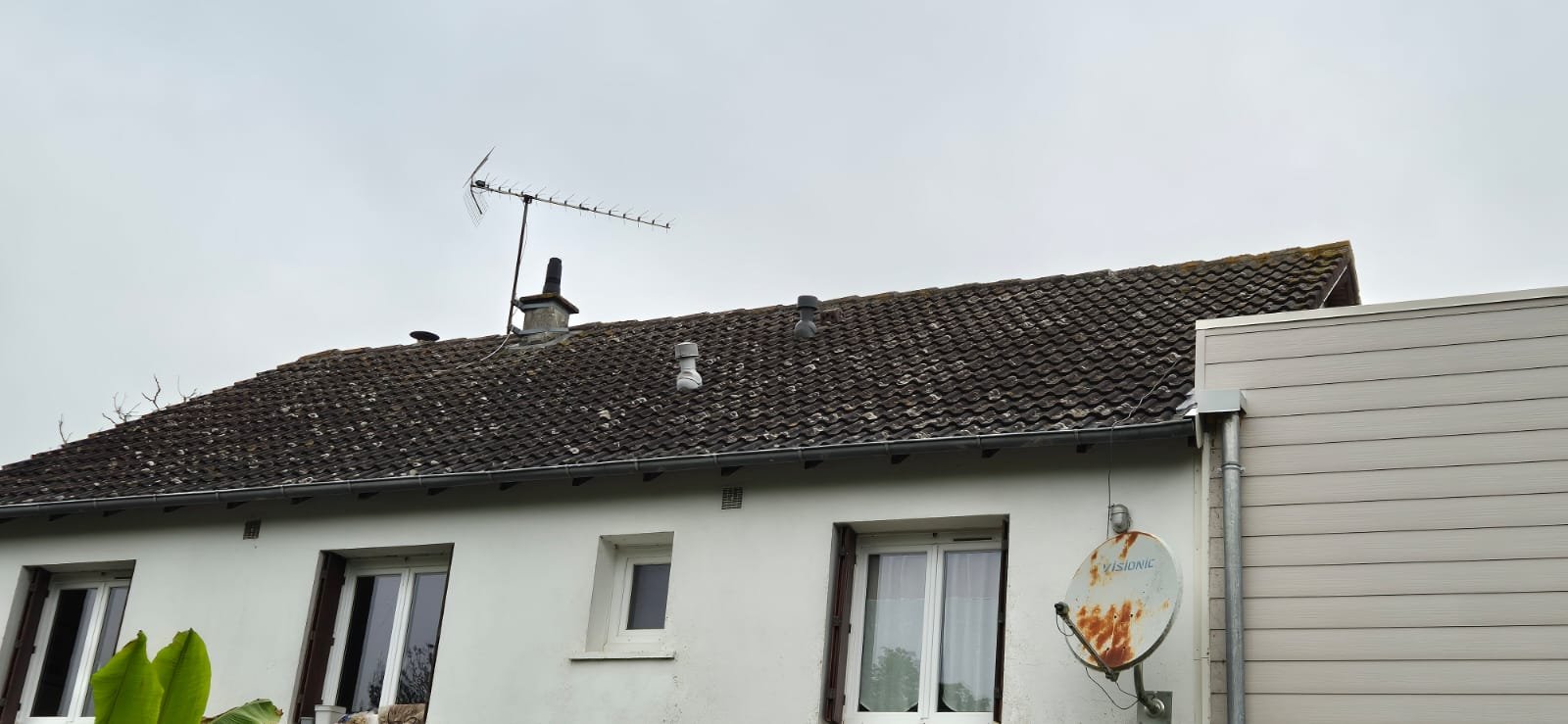 DEMOUSSAGE PEINTURE AVANT 37