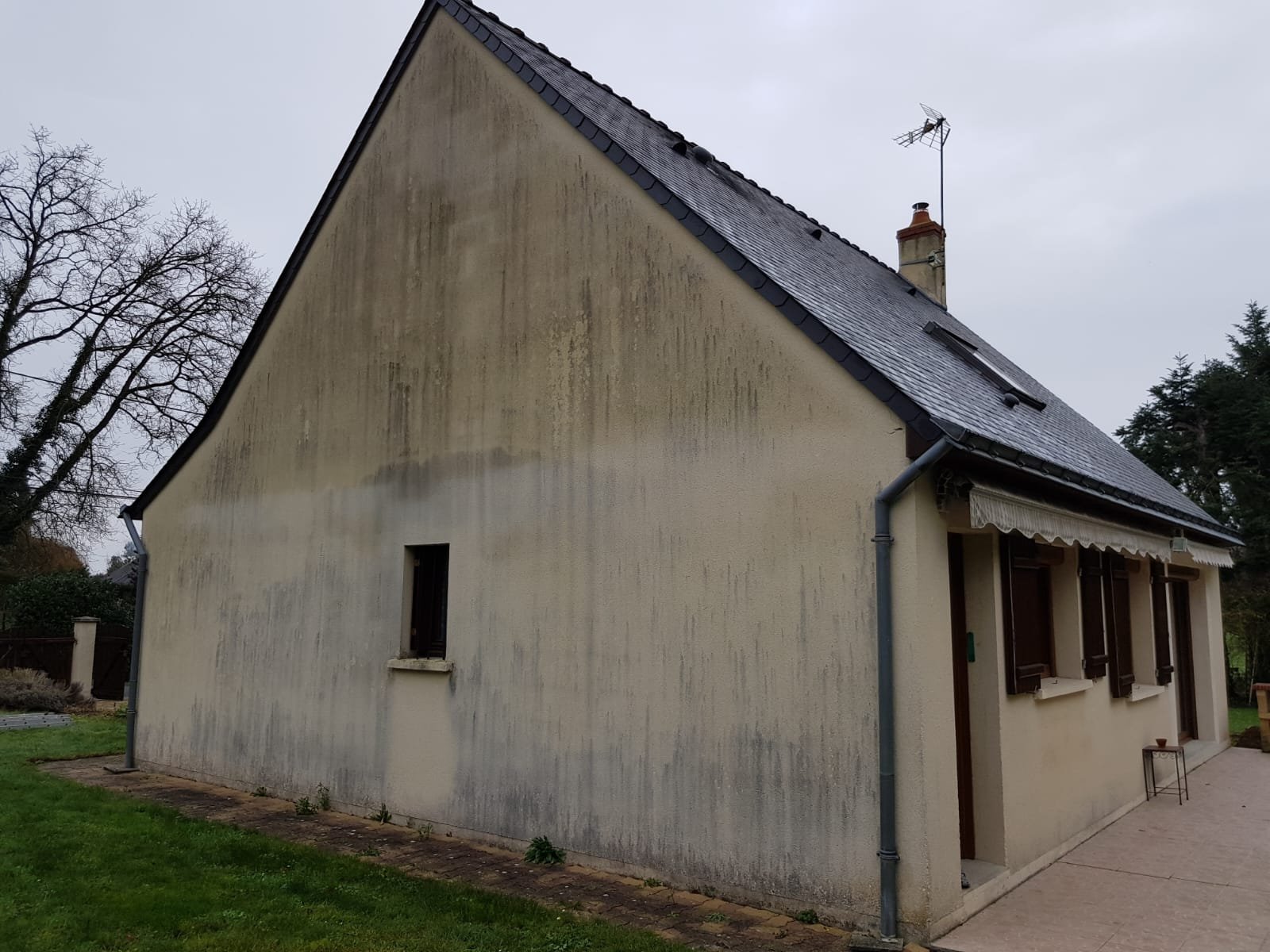 NETTOYAGE DEMOUSSAGE TOURS AVANT WK RENOV